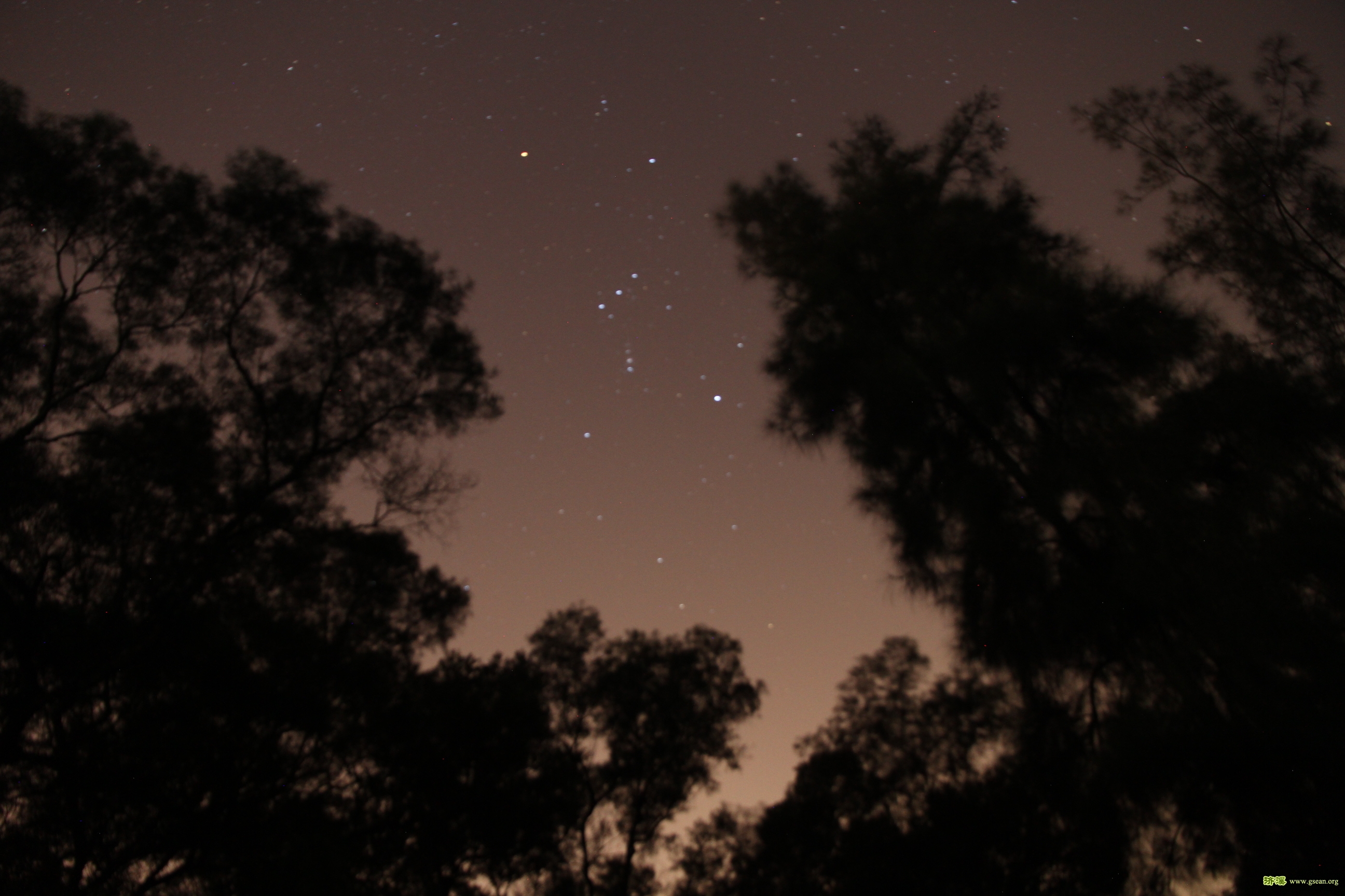 猎户座，最容易辨认的星座之一。