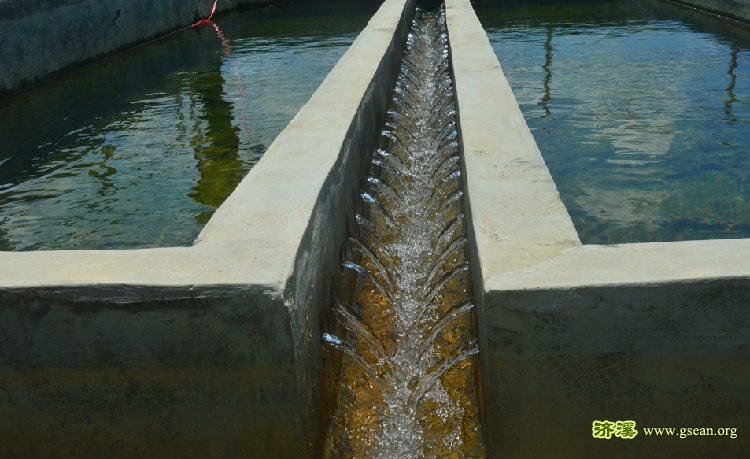 图二：自来水厂的清水池.jpg