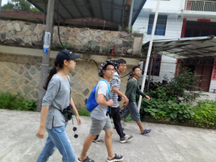暴走.jpg