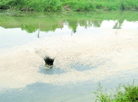 石块投入河中，黄色泡沫下溅起乌黑的泥水.jpg