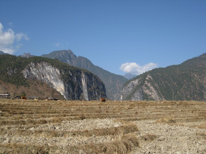 175.JPG
