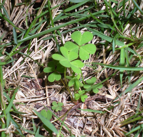 p_large_7SJb_683o241022.jpg