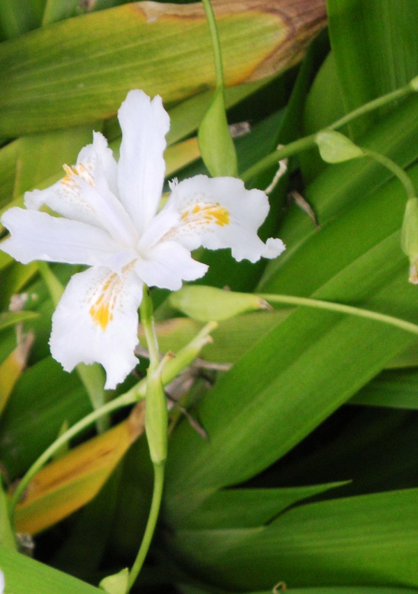 p_large_JnAL_702c241022.jpg