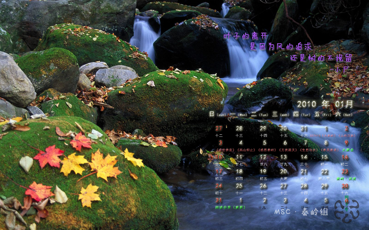 2010年1月桌面 2.jpg