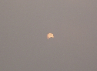 IMG_0009.jpg