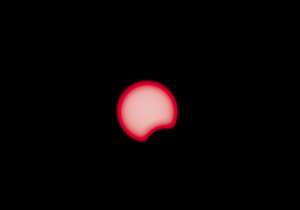 10454502.jpg