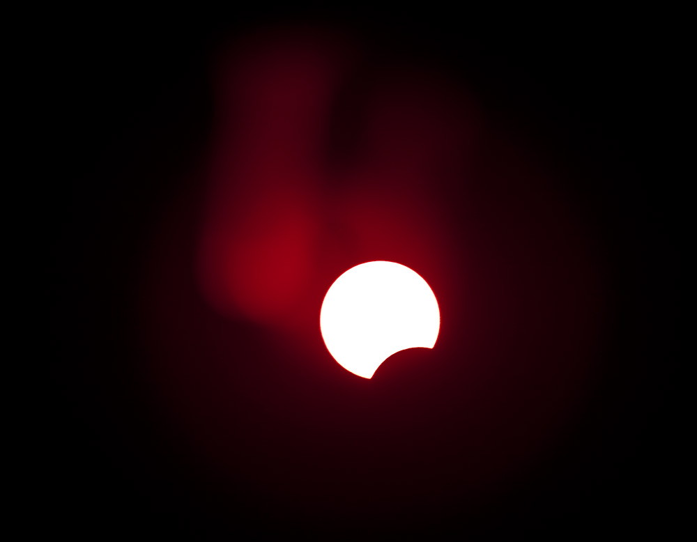 10454503.jpg