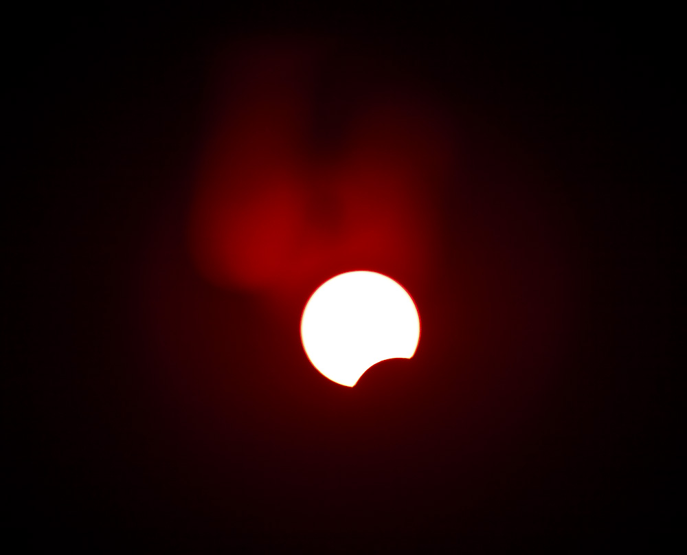 10454500.jpg