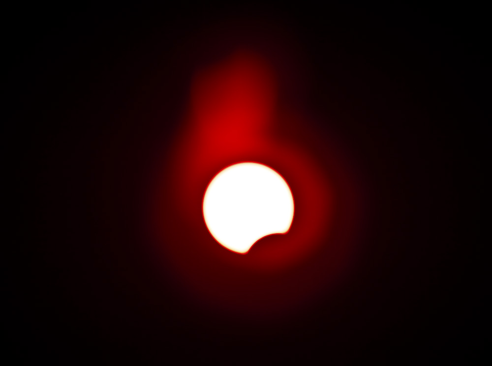 10454499.jpg