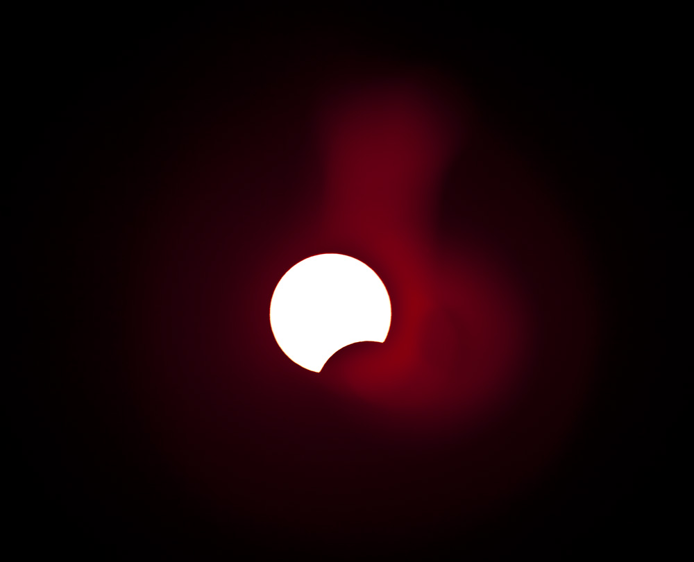 10454504.jpg
