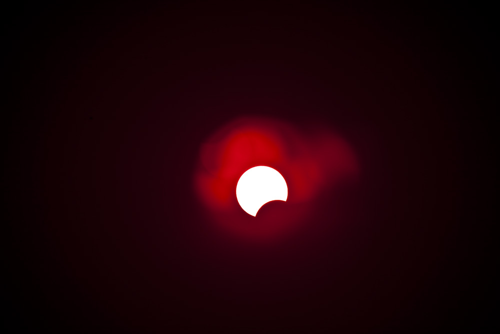 10454507.jpg