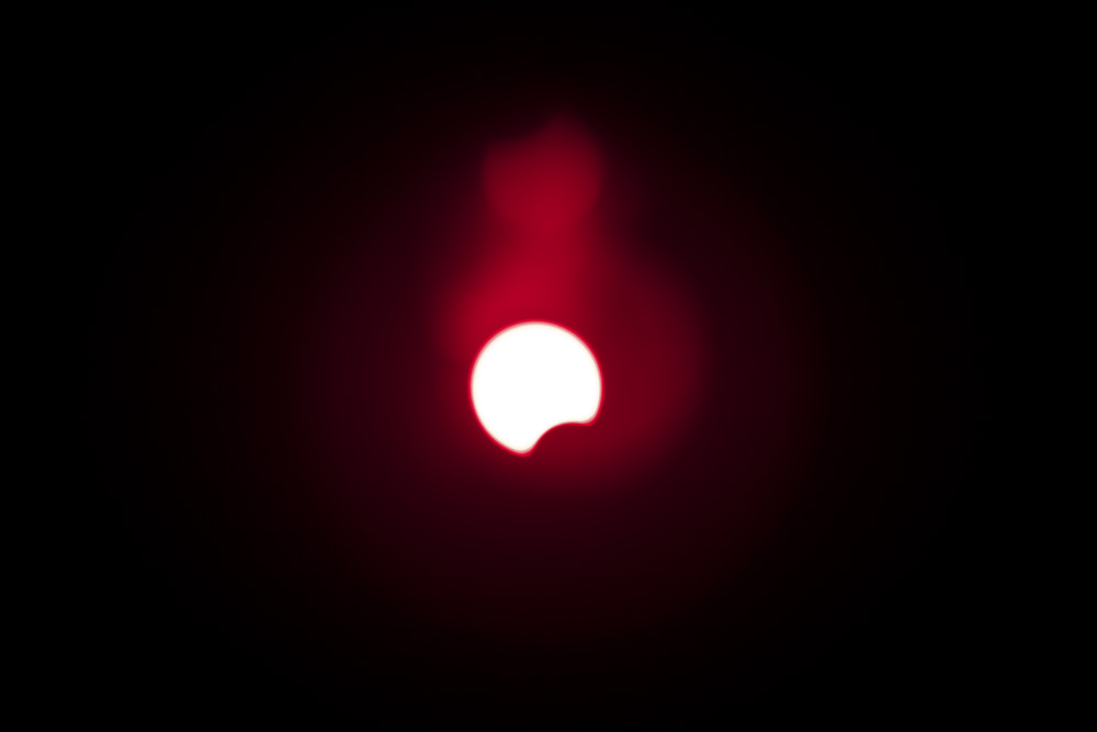 10454505.jpg