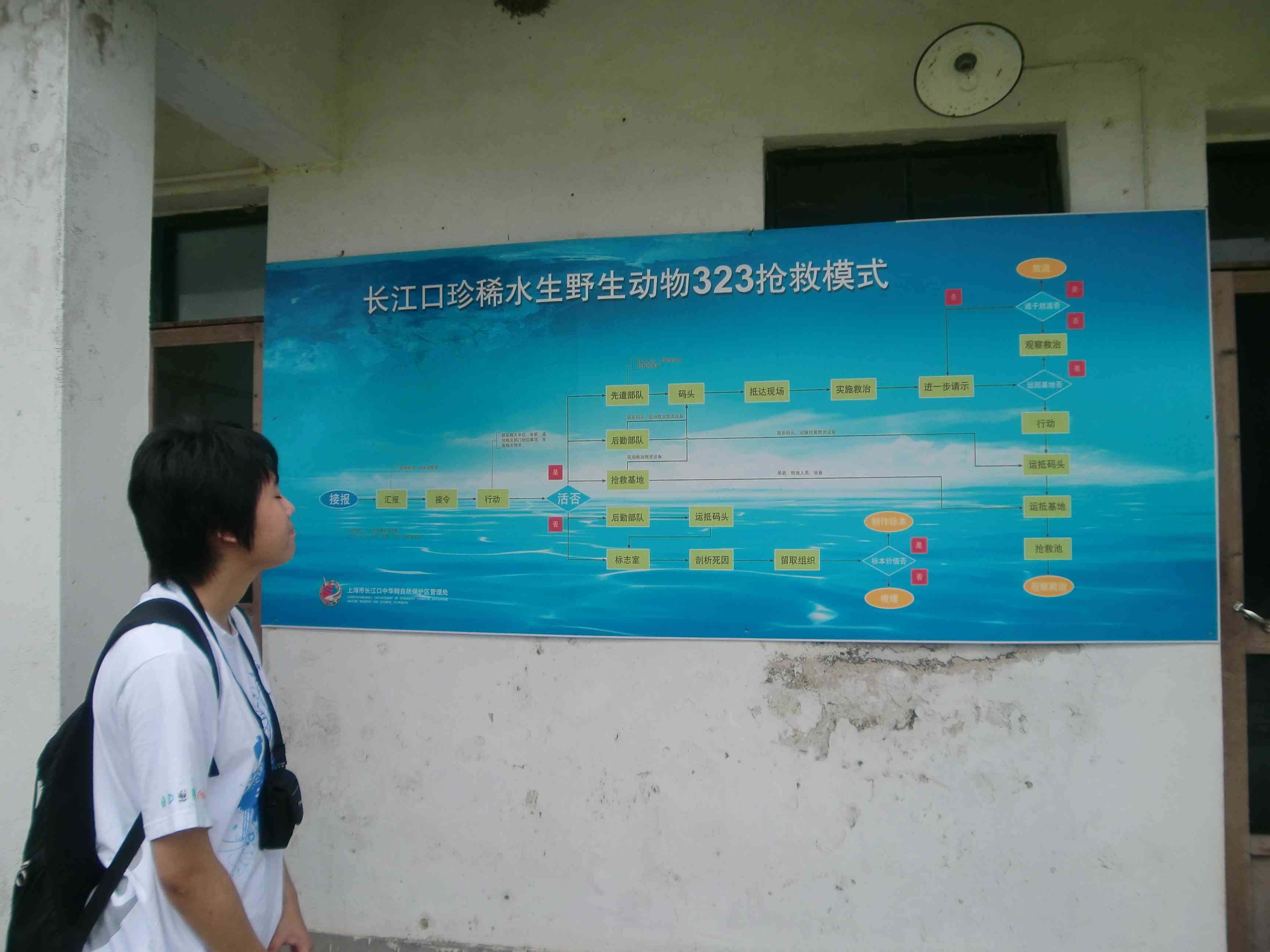 CIMG2448.JPG