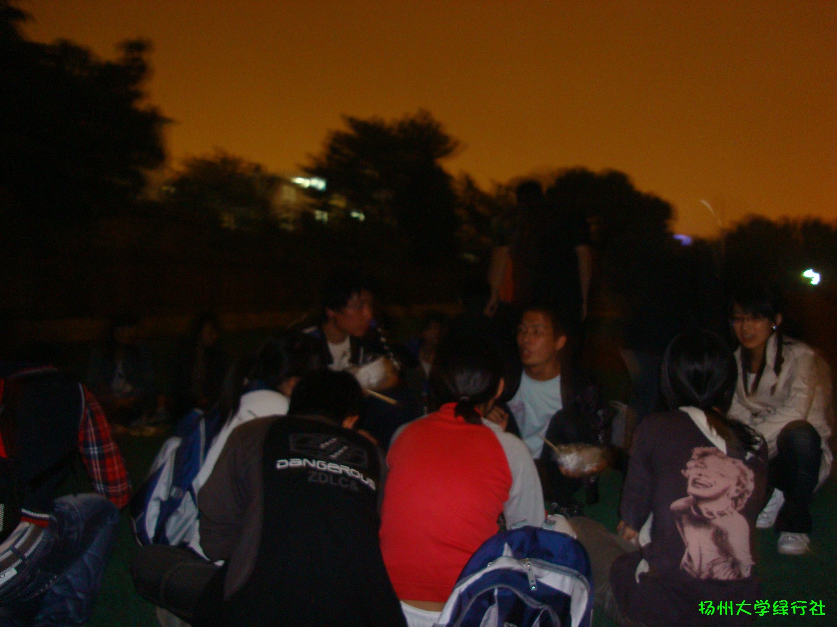 BigBull_DSC02110.JPG