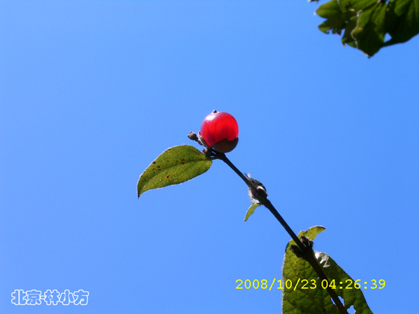 04.jpg
