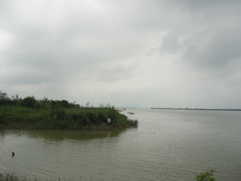 P1010638.JPG