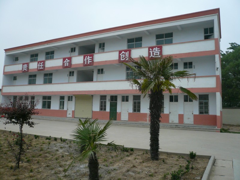 漂亮的小学.JPG