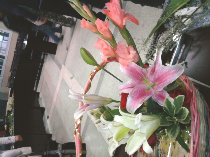 照片-0533.jpg