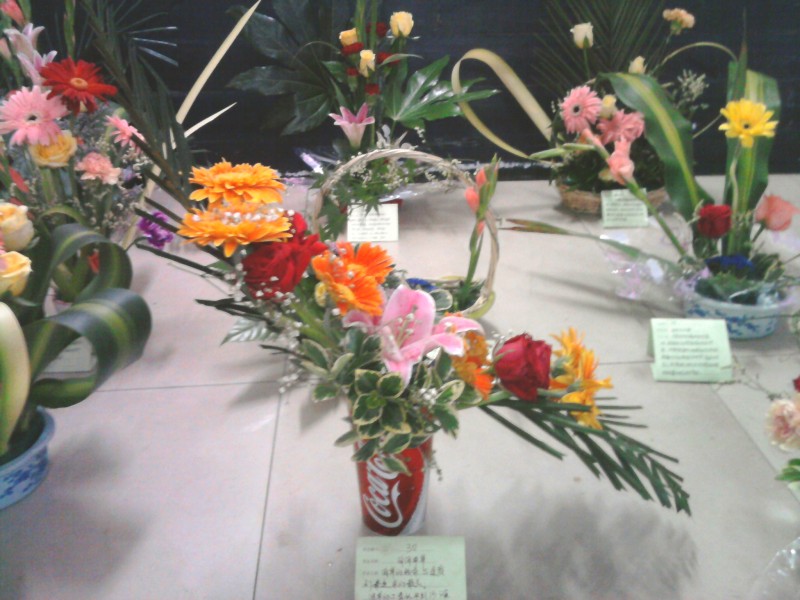 照片-0846.jpg