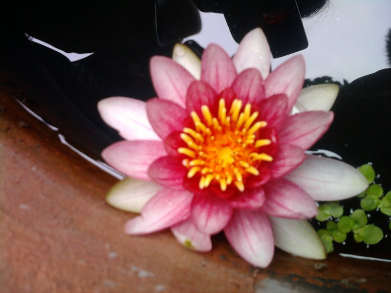 照片-0918.jpg