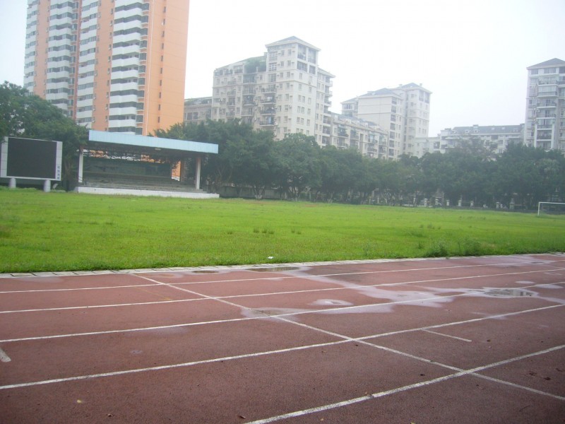 P1100067.jpg