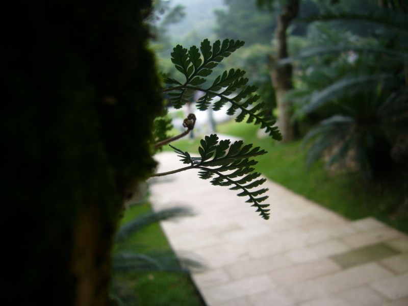 P1100108.jpg