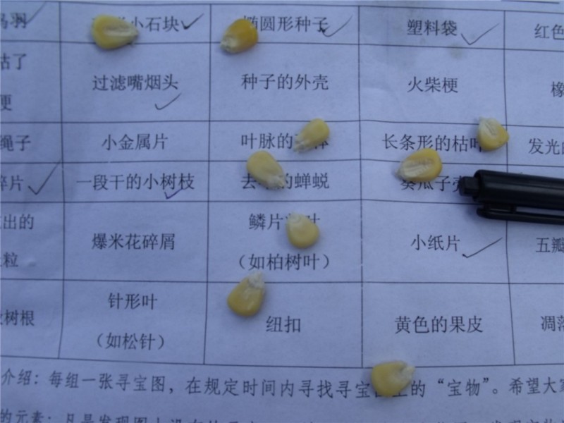 29  28日寻宝地图.jpg
