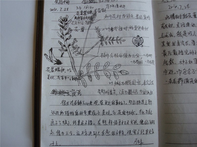 35  28日观察笔记.jpg