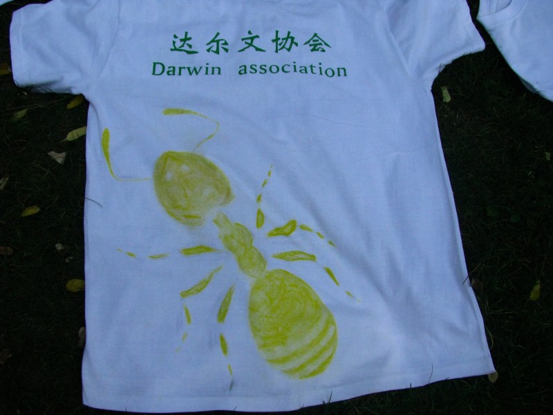 见过这样的蚂蚁没？.JPG