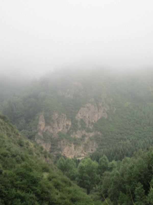 IMG_0235.JPG