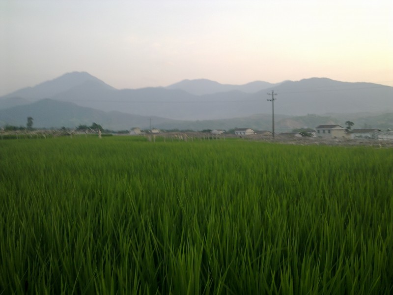 20100101200.jpg