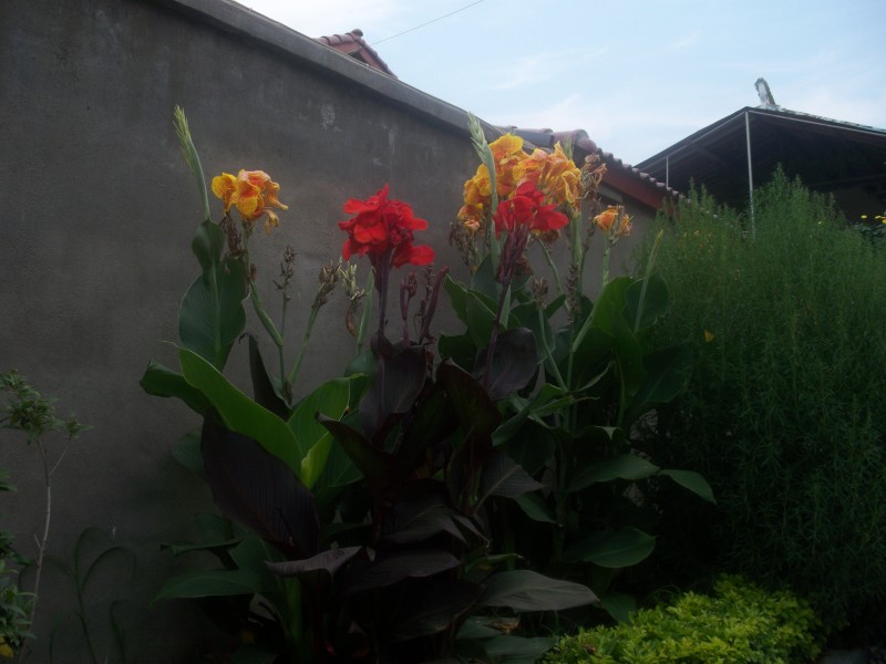 100_4503.JPG