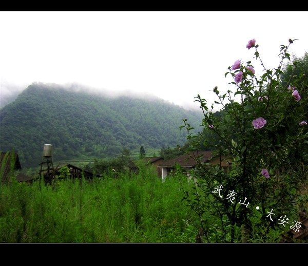 IMG_7009_副本.jpg