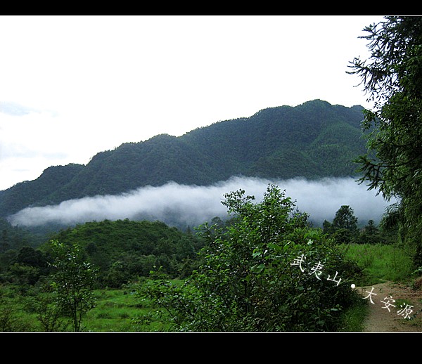 IMG_6655_副本.jpg
