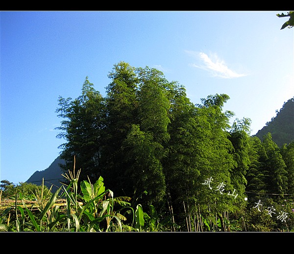 IMG_7343_副本.jpg