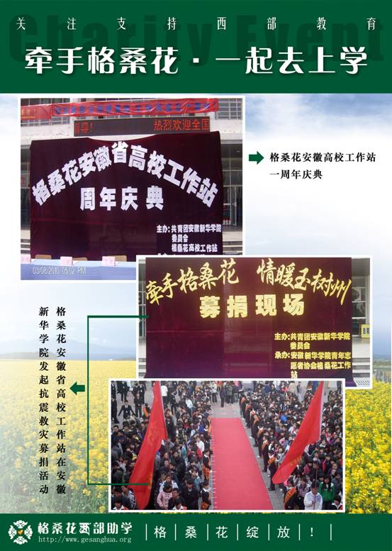 格桑花绽放（六）.jpg