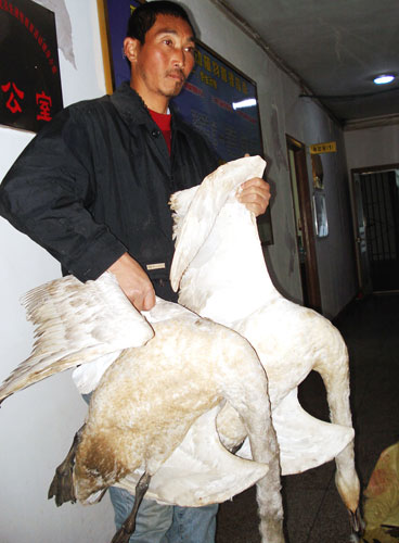 20090112_89f1514c17405b4ed81dfeJAy2PWxazK.jpg