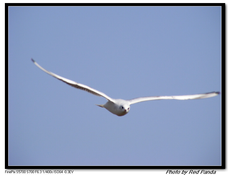 DSCF8189.jpg