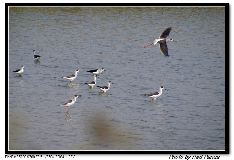 DSCF8097.jpg