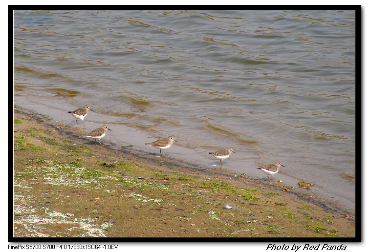 DSCF8127.jpg