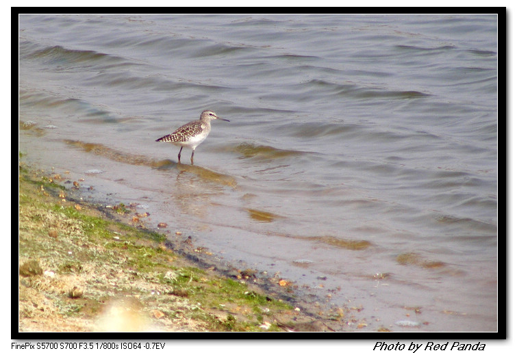 DSCF8067.jpg