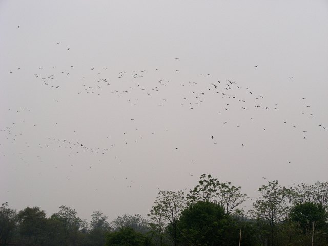 DSCF8278.jpg