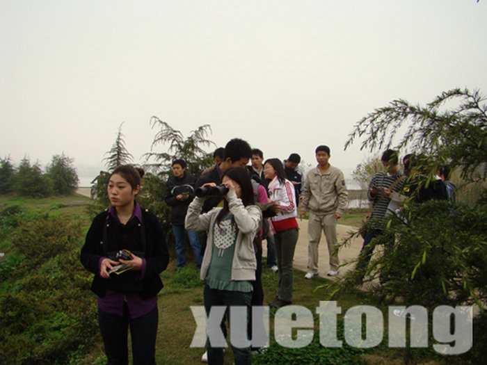 20090407071402872.jpg