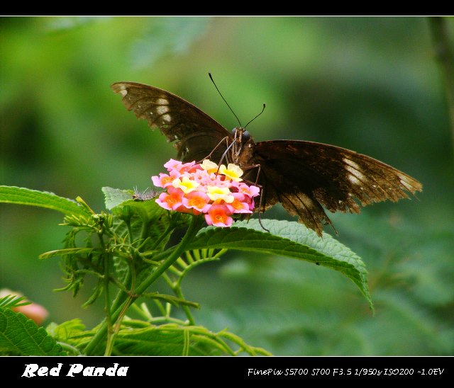 DSCF9893.jpg