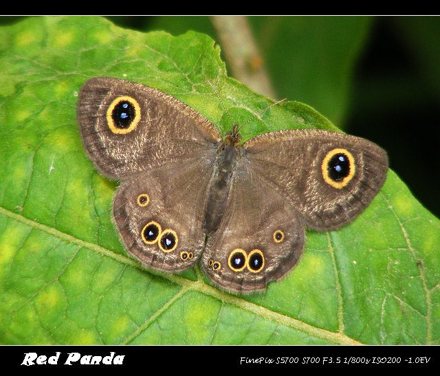 DSCF9895.jpg