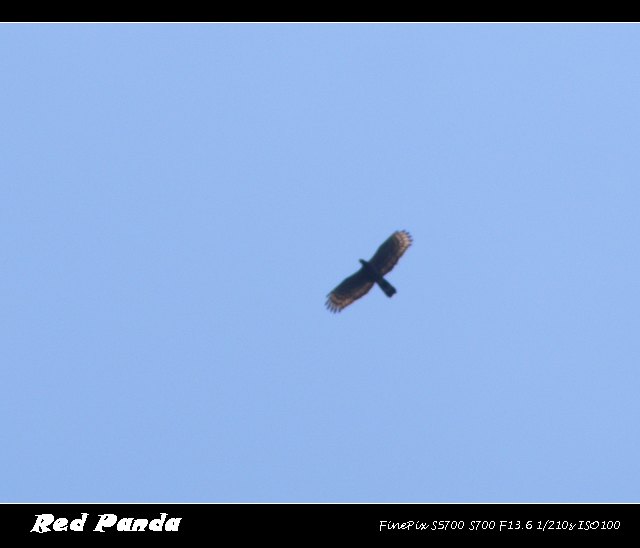 DSCF9837.jpg
