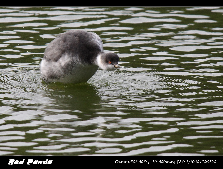 IMG_8670.jpg