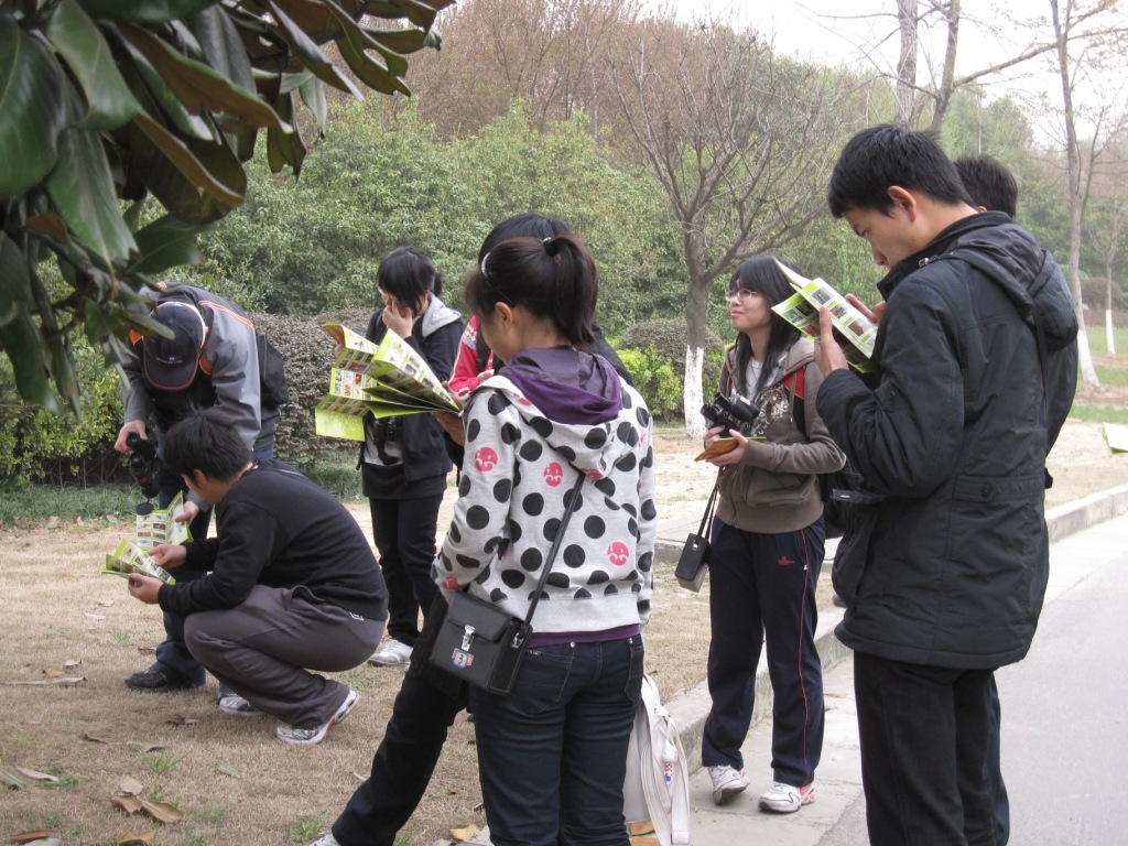 看到一种鸟，在鸟图上找到相应的鸟种.jpg