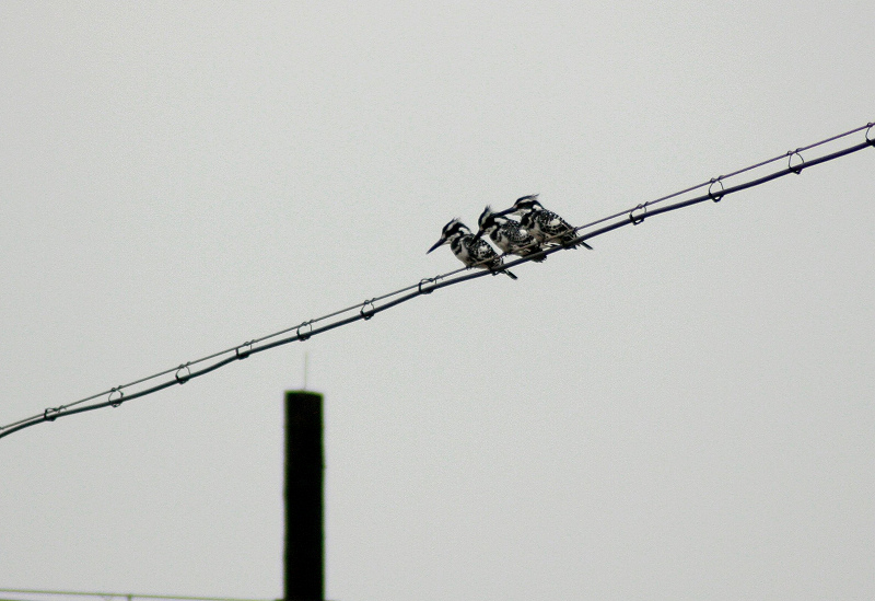 照片100 082.jpg