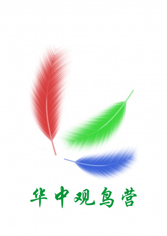 鸟营logo副本.jpg